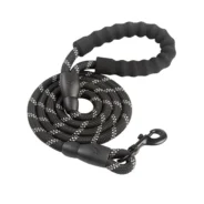 20200804203942_5f29570e7b94d-1