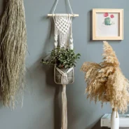 20200805190444_5f2a924c314b2-1