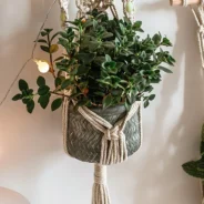 20200805190444_5f2a924ce1d44