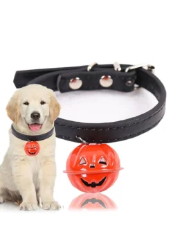 20200807174829_5f2d236d2b913-1