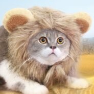 20200807174833_5f2d237117fe7