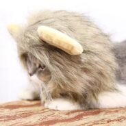 20200807174833_5f2d23713a760