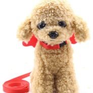 20200807174840_5f2d2378c6c33-1