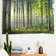 20200810154917_5f30fbfd85e47