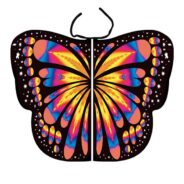 20200812193005_5f33d2bd1ae47-1