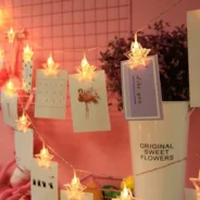 20200820193116_5f3e5f042efa3