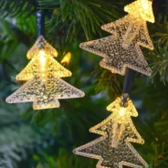 20200824152941_5f436c65b4e6e-1