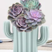 20200826152053_5f460d55dec63