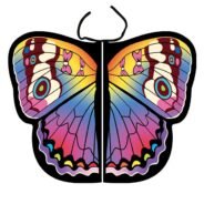 20200827184616_5f478ef8ce7ca-1