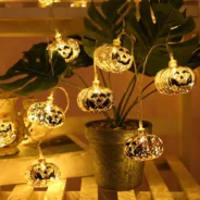 20200904185756_5f521db49de23