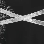 20200908110454_5f56f4d6bae8a-1