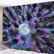 20200916155528_5f61c4f0c4f48