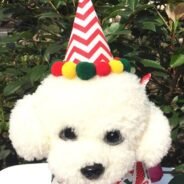 20200924194513_5f6c86c9c4c9a