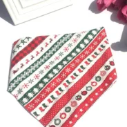 20200924194513_5f6c86c9d417c-1