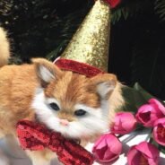 20200924194518_5f6c86cebb132