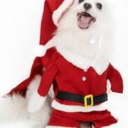 20200924194523_5f6c86d3bdd91