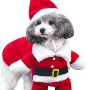 20200924194523_5f6c86d3ce014