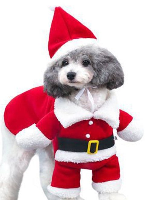 Christmas Santa Pet Hat Clothing Set
