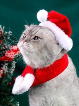 Christmas Pet Accessories Hat Scarf Set