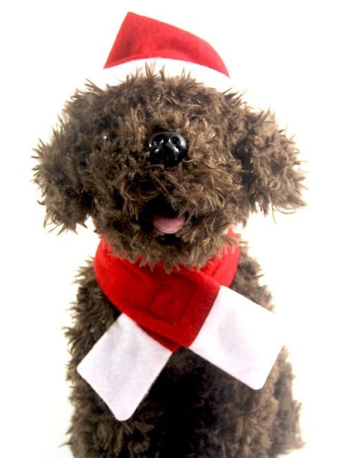 Christmas Pet Accessories Hat Scarf Set
