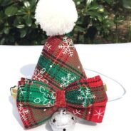 20200924200558_5f6c8ba68de8e-1