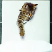 20201021162805_5f8ff1157a73b