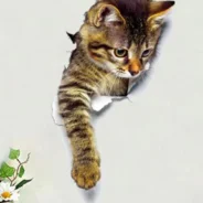 20201021162805_5f8ff115aa859